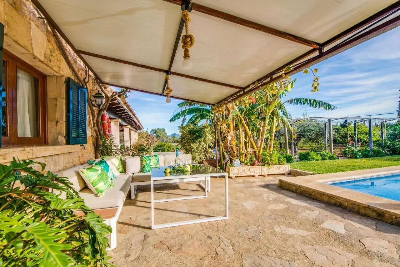 Ideal Property Mallorca - Can Carabassot Pollenca Country house
