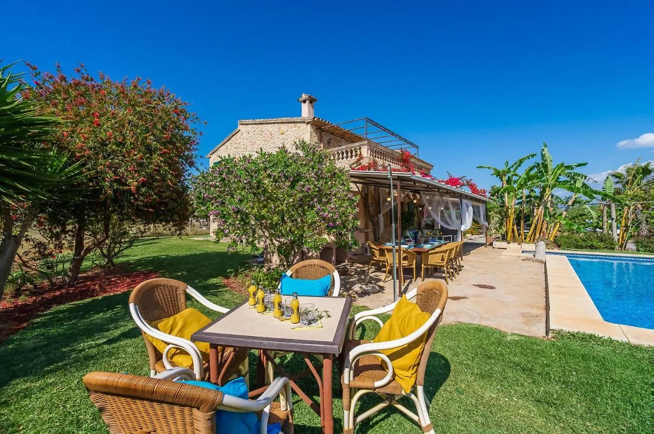 Ideal Property Mallorca - Can Carabassot Pollenca Country house